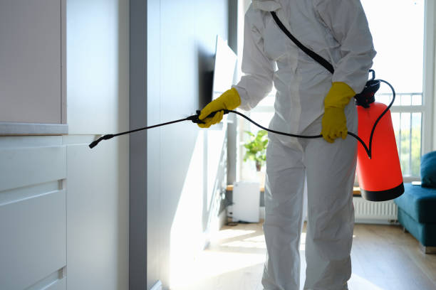 Best Office Mold Removal Services  in Edgewood, WA